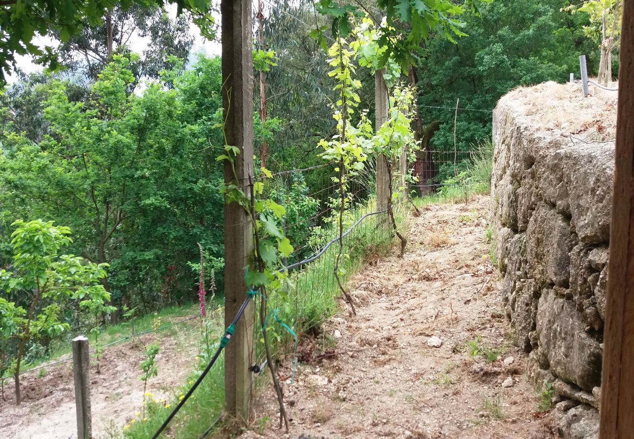 Bungalow em Gerês - Cabana T1 da Carvalha