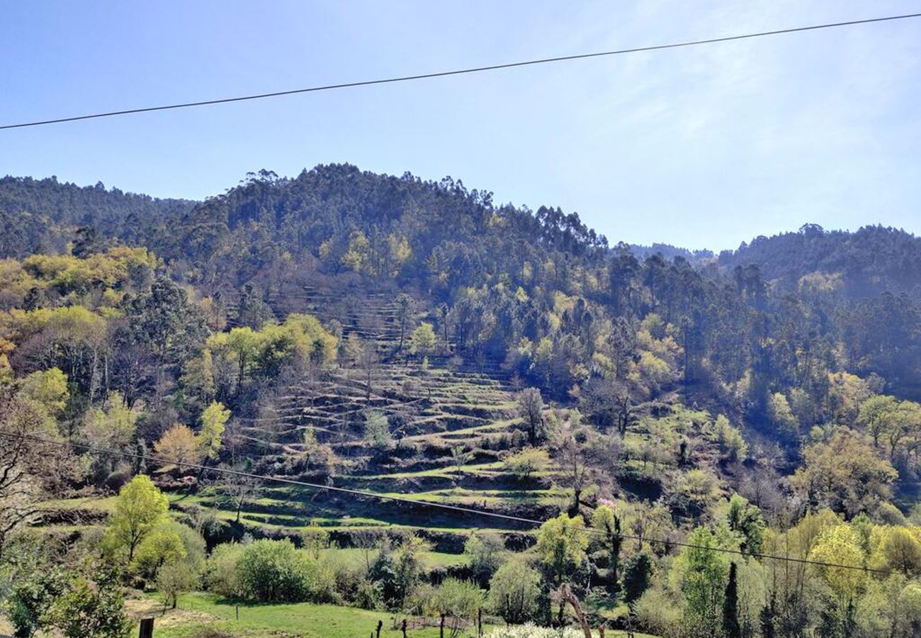 Casa rural em Terras de Bouro - Casa Museu Lagar de Azeite