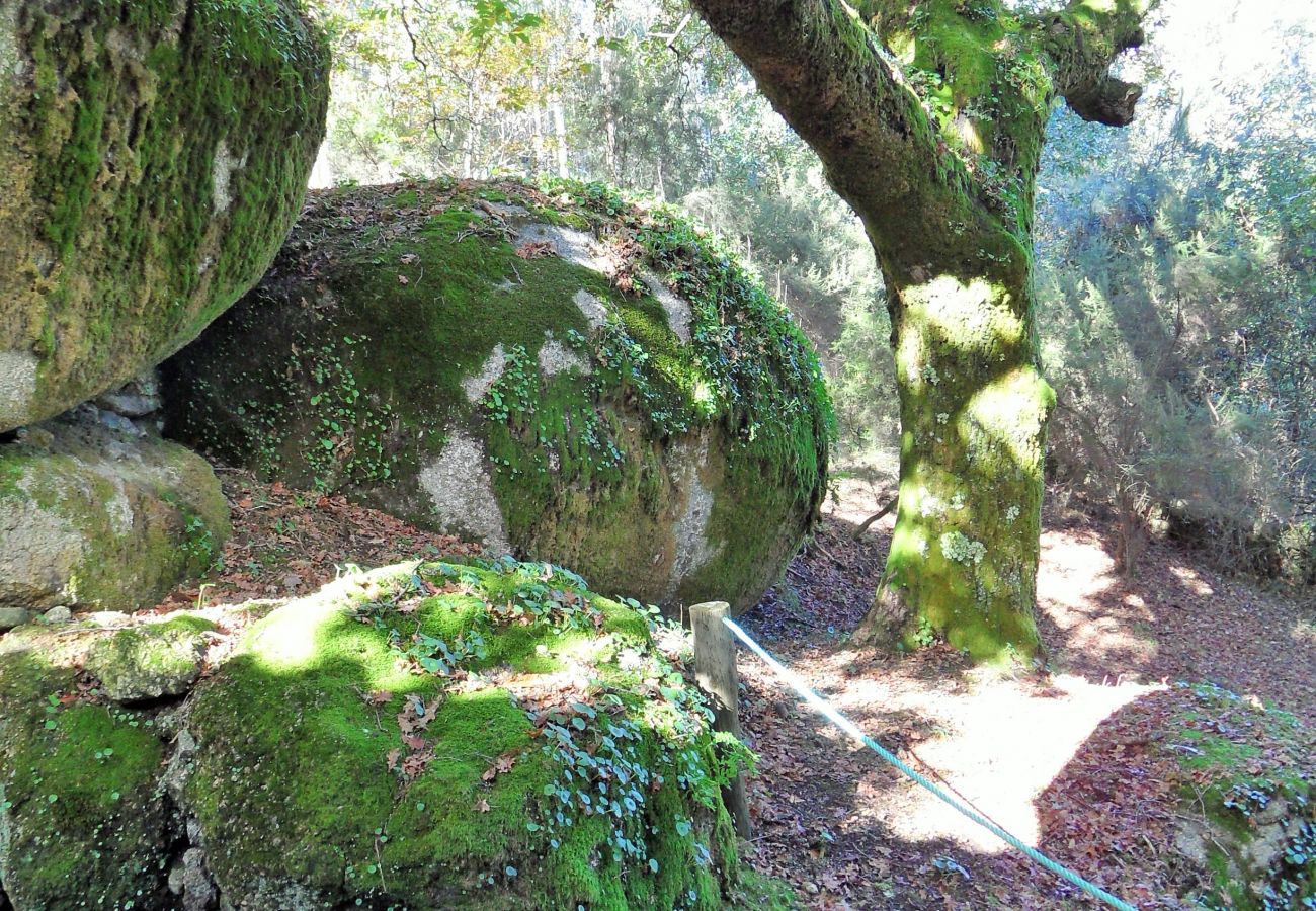 Villa em Vieira do Minho - Oak Villa Total