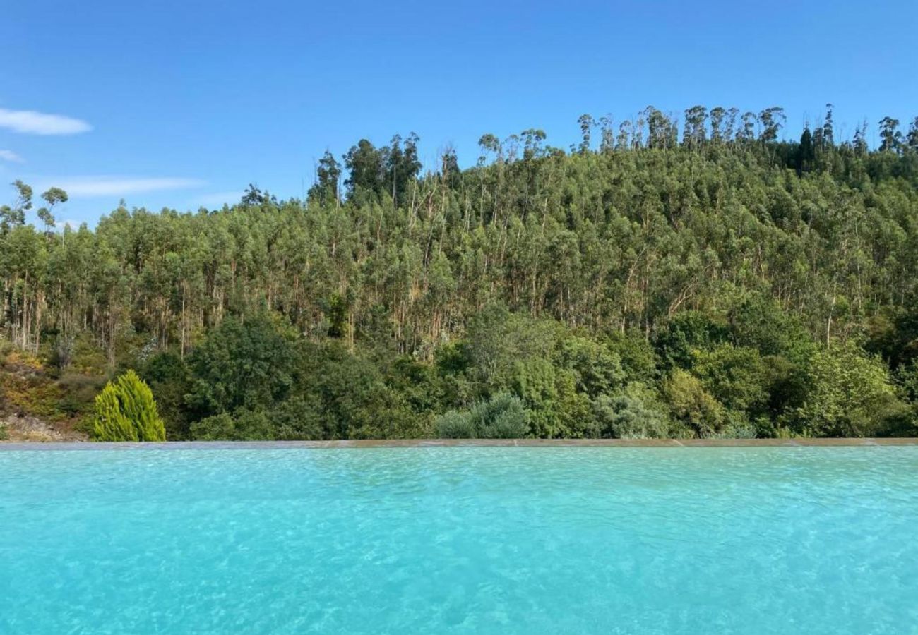 Piscina Natureza Vista Montanha 