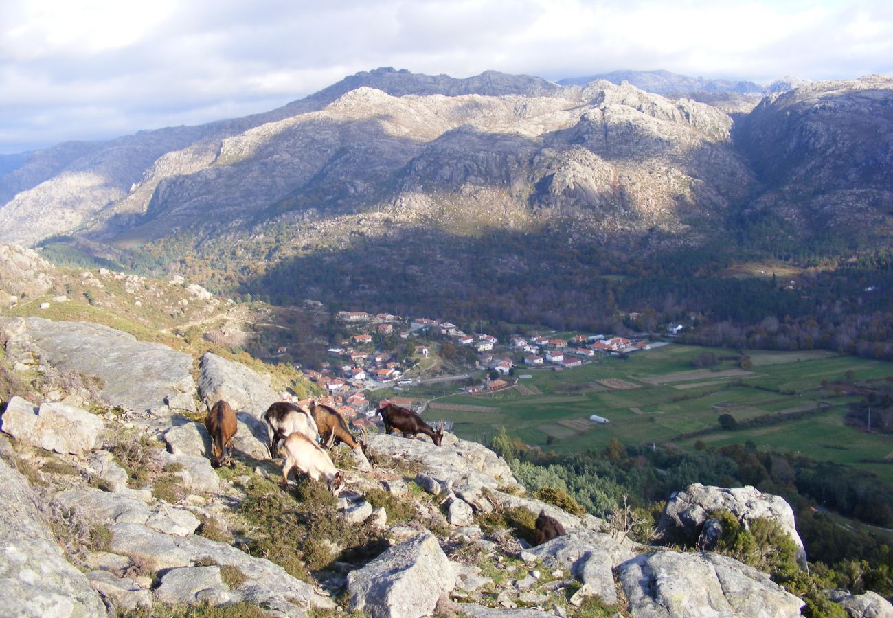 House in Campo do Gerês - Casa da Parede Nova