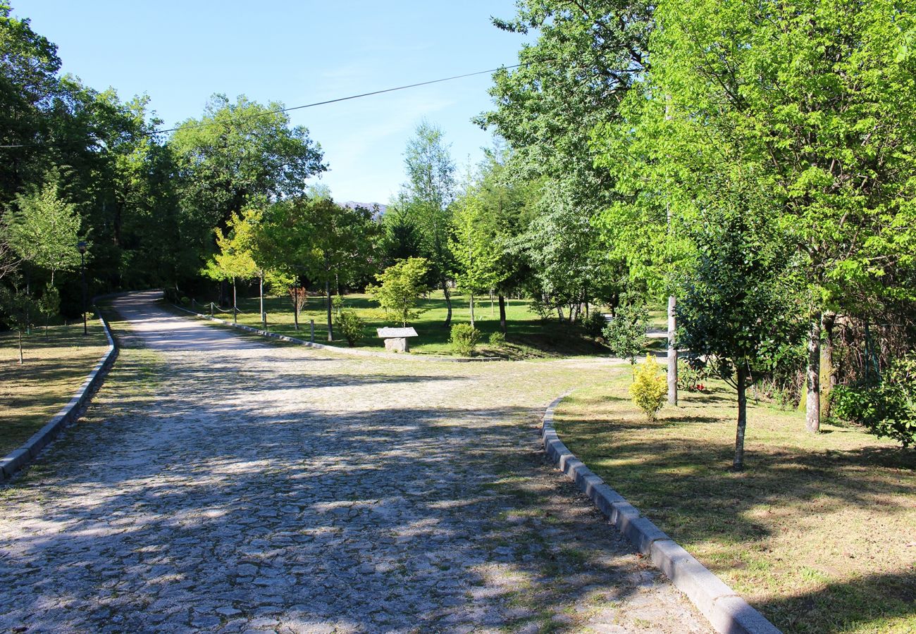 Bungalow in Campo do Gerês - Bungalows Azevinho Serra do Geres