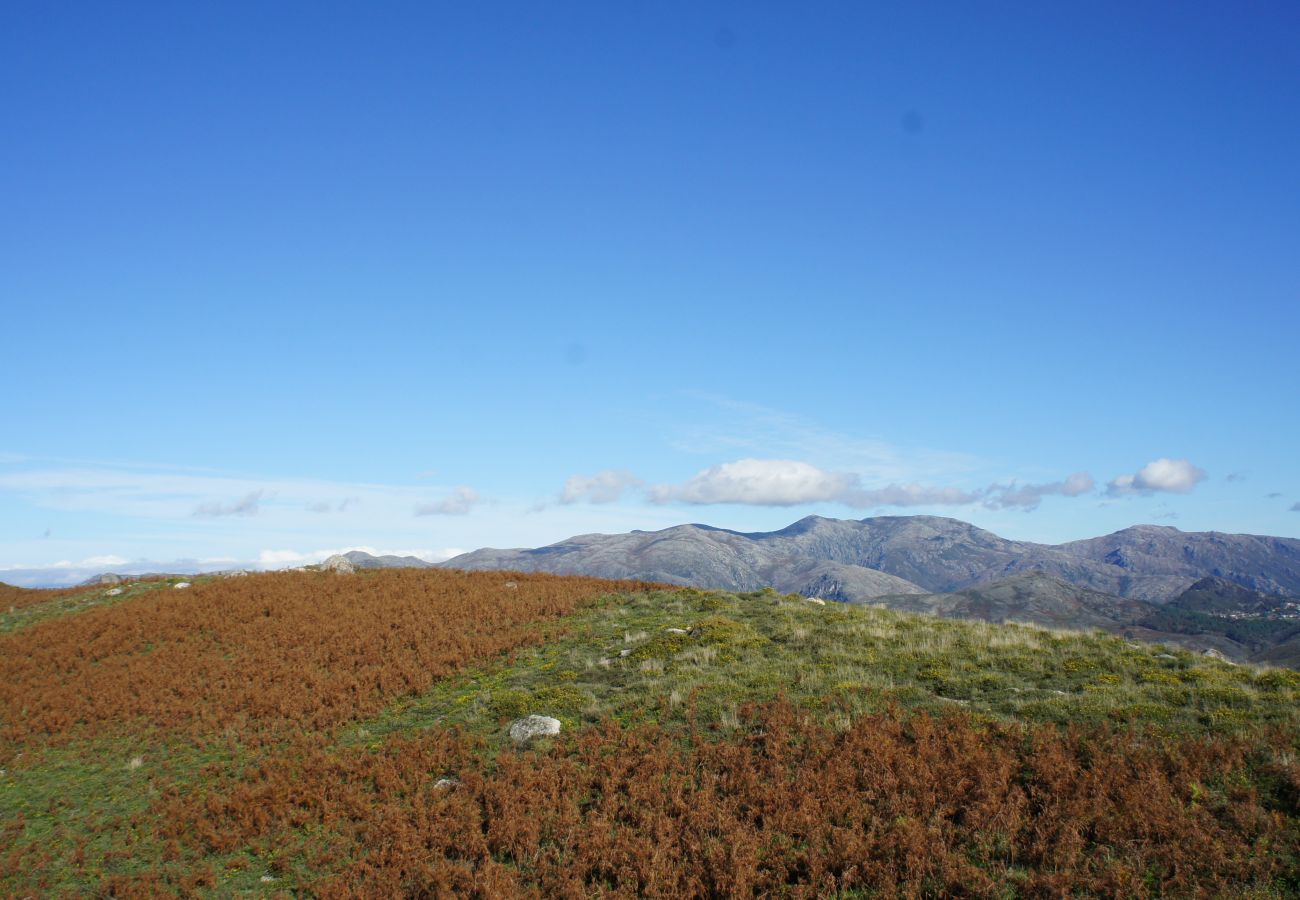 Villa in Gerês - Villa dos Plátanos - Quinta dos Carqueijais