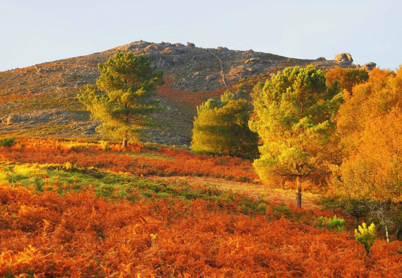 Cottage in Gerês - Casa de Sá