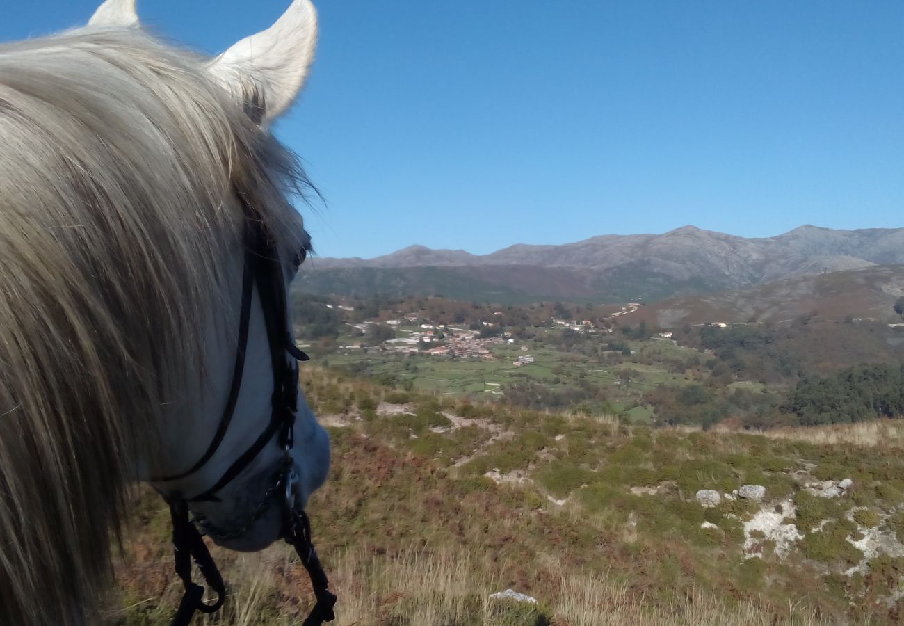 Rent by room in Campo do Gerês - HI Gerês - Pousada da Juventude - Quarto Twin