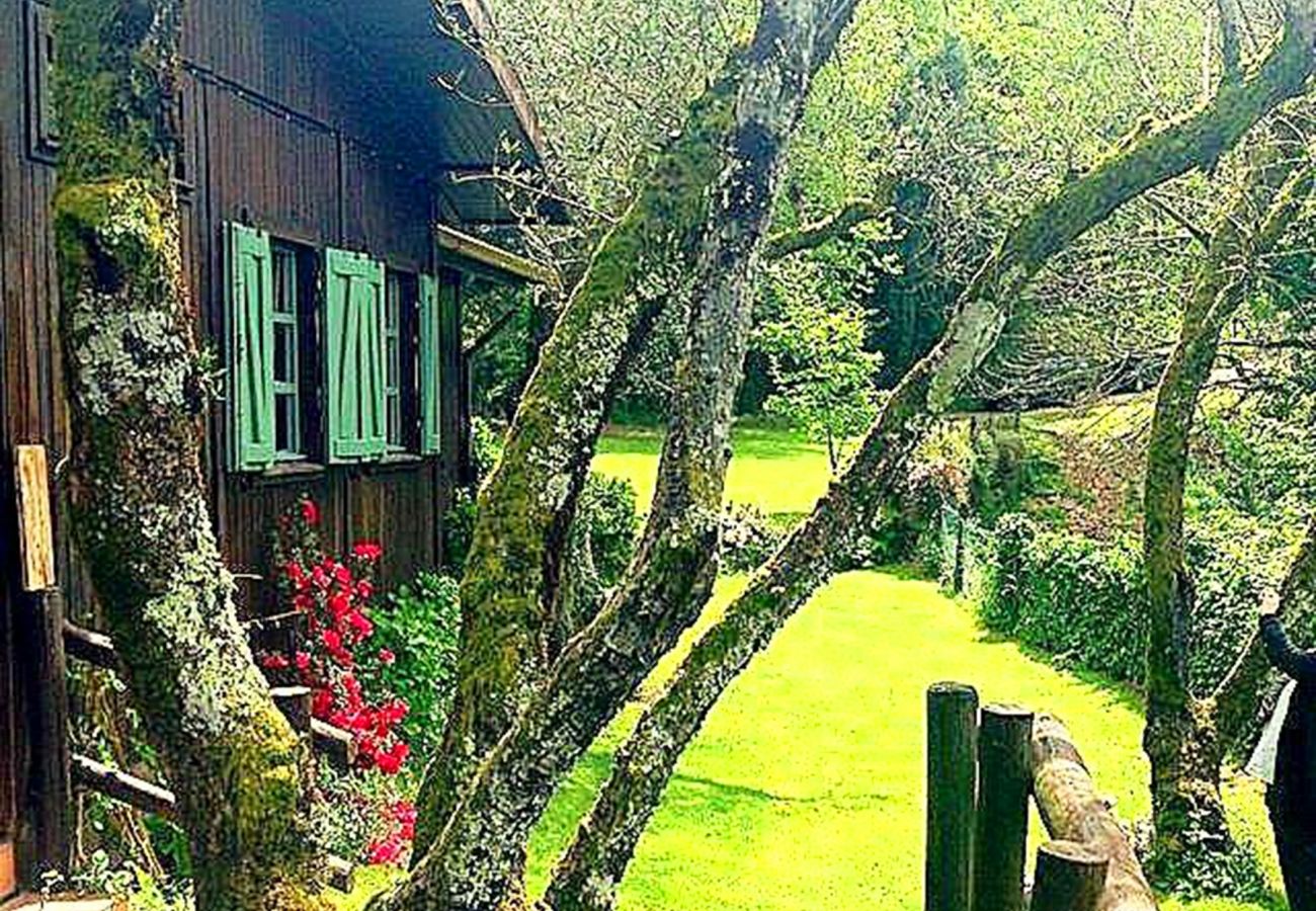 Cottage in Vieira do Minho - Country House Gerês