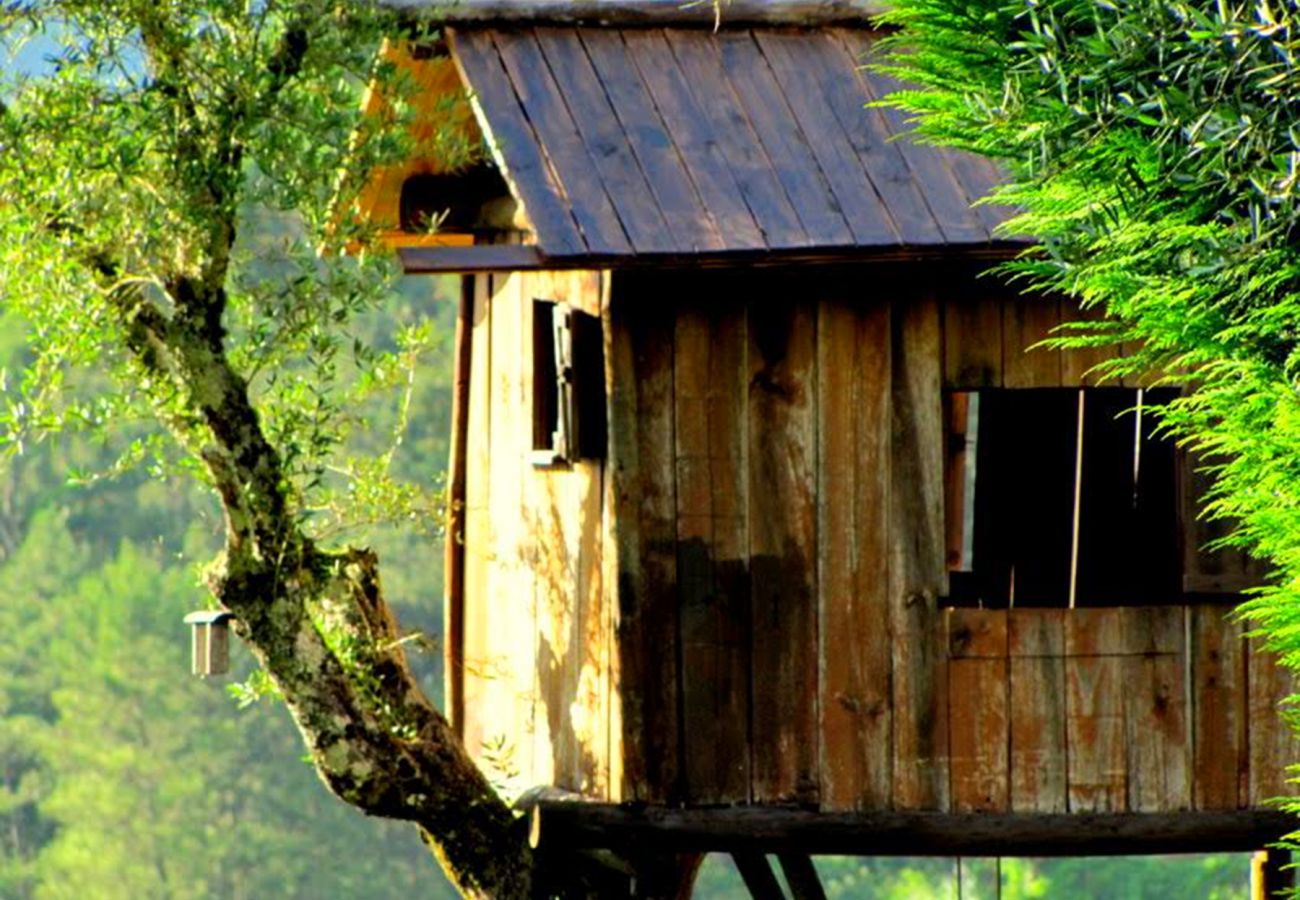 Cottage in Vieira do Minho - Country House Gerês