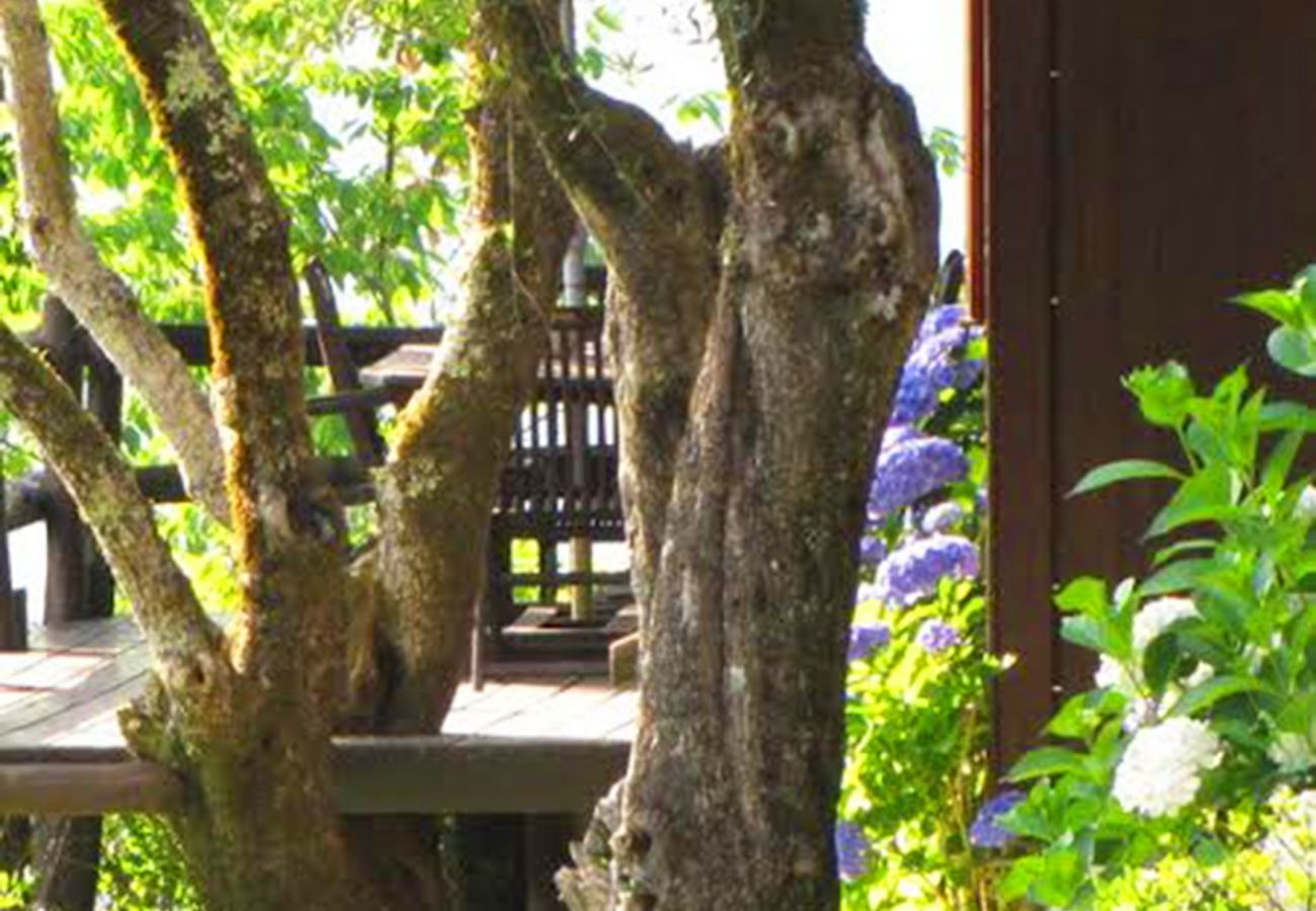 Cottage in Vieira do Minho - Country House Gerês