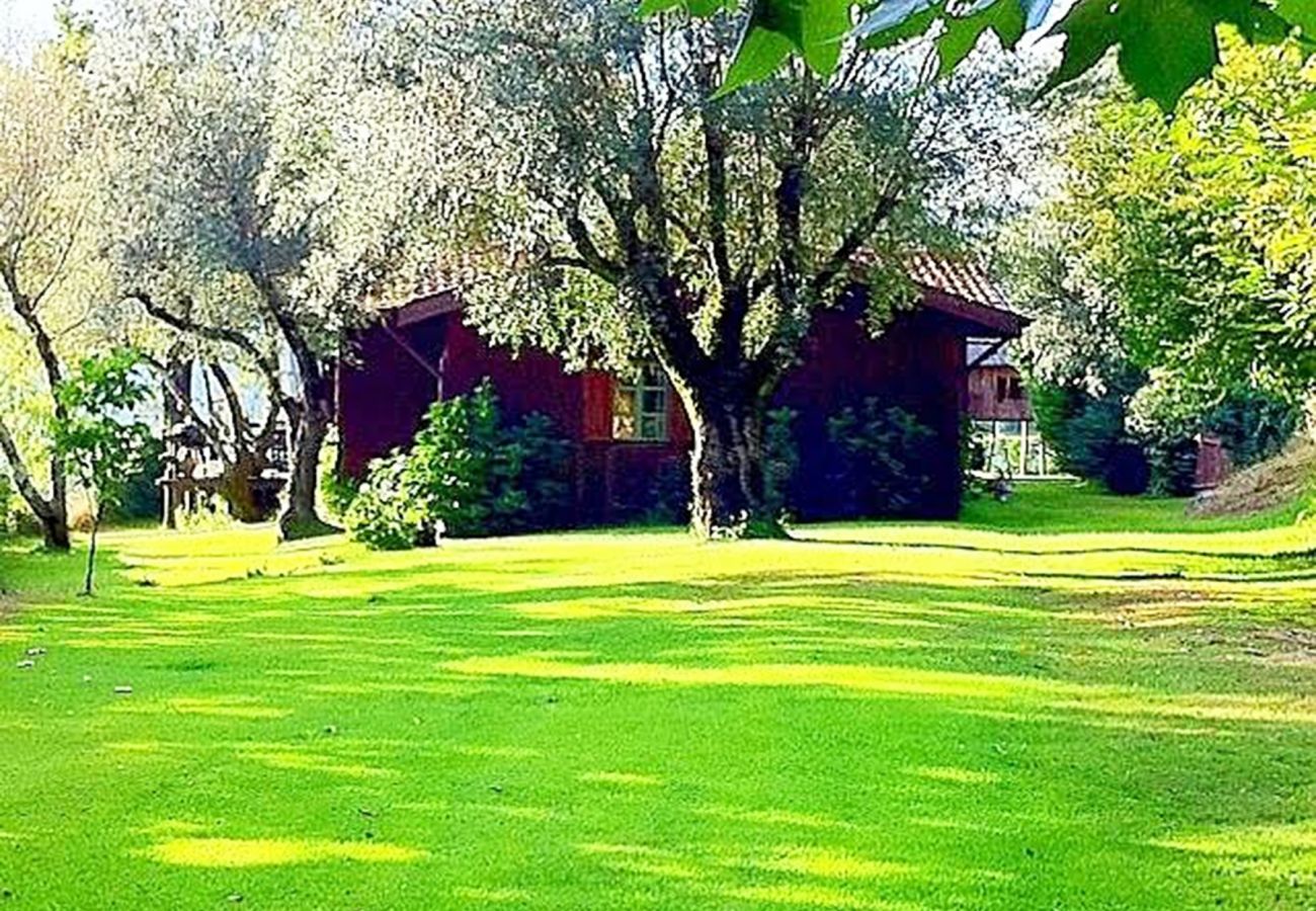 Cottage in Vieira do Minho - Country House Gerês