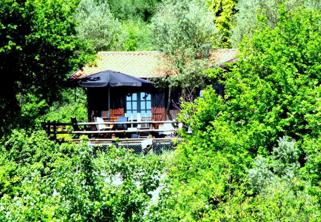 Cottage in Vieira do Minho - Country House Gerês