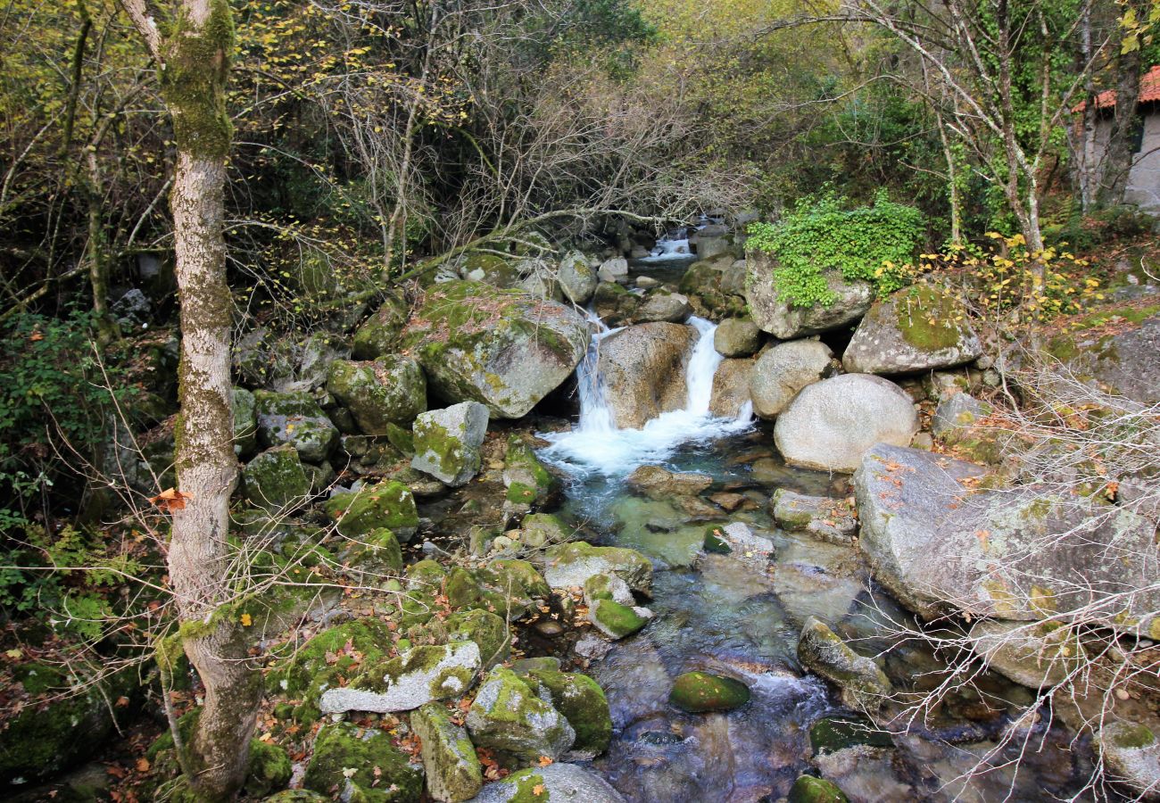 Rent by room in Gerês - Quarto Twin Deluxe - Quinta da Carvalha