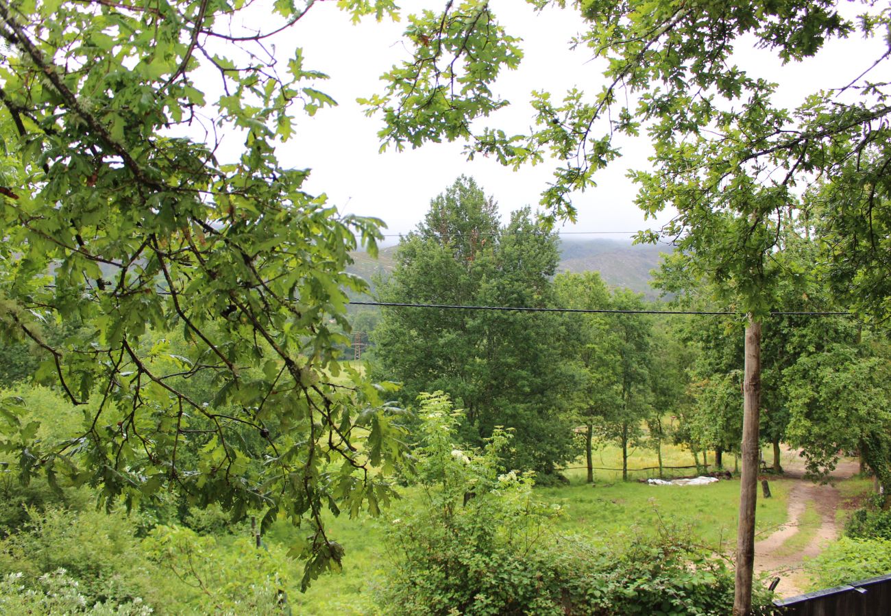 Bungalow in Campo do Gerês - Bungalow Miguel - Casa da Árvore