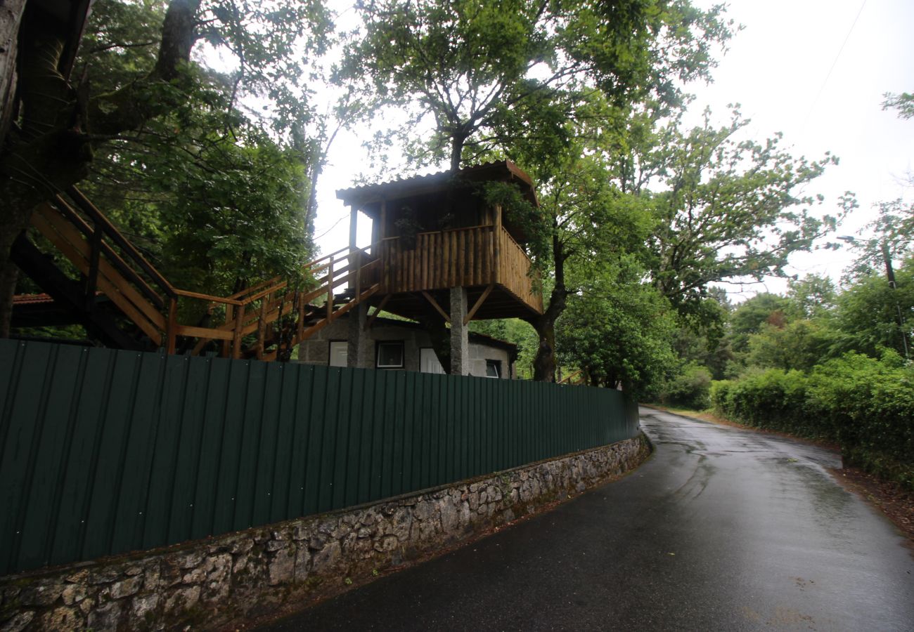 Bungalow in Campo do Gerês - Bungalow Miguel - Casa da Árvore