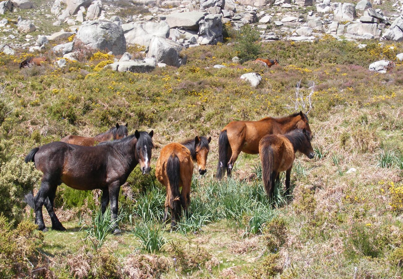 Gîte Rural à Gerês - Casa do Padre Alexandre