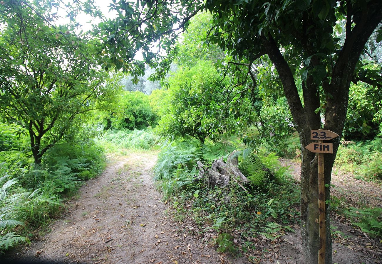 Gîte Rural à Amares - Casa dos Cereais - Recantos na Portela