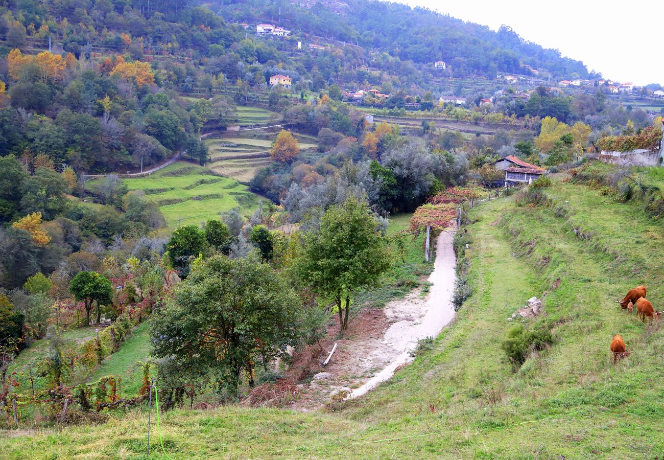 Maison à Terras de Bouro - Village Walls