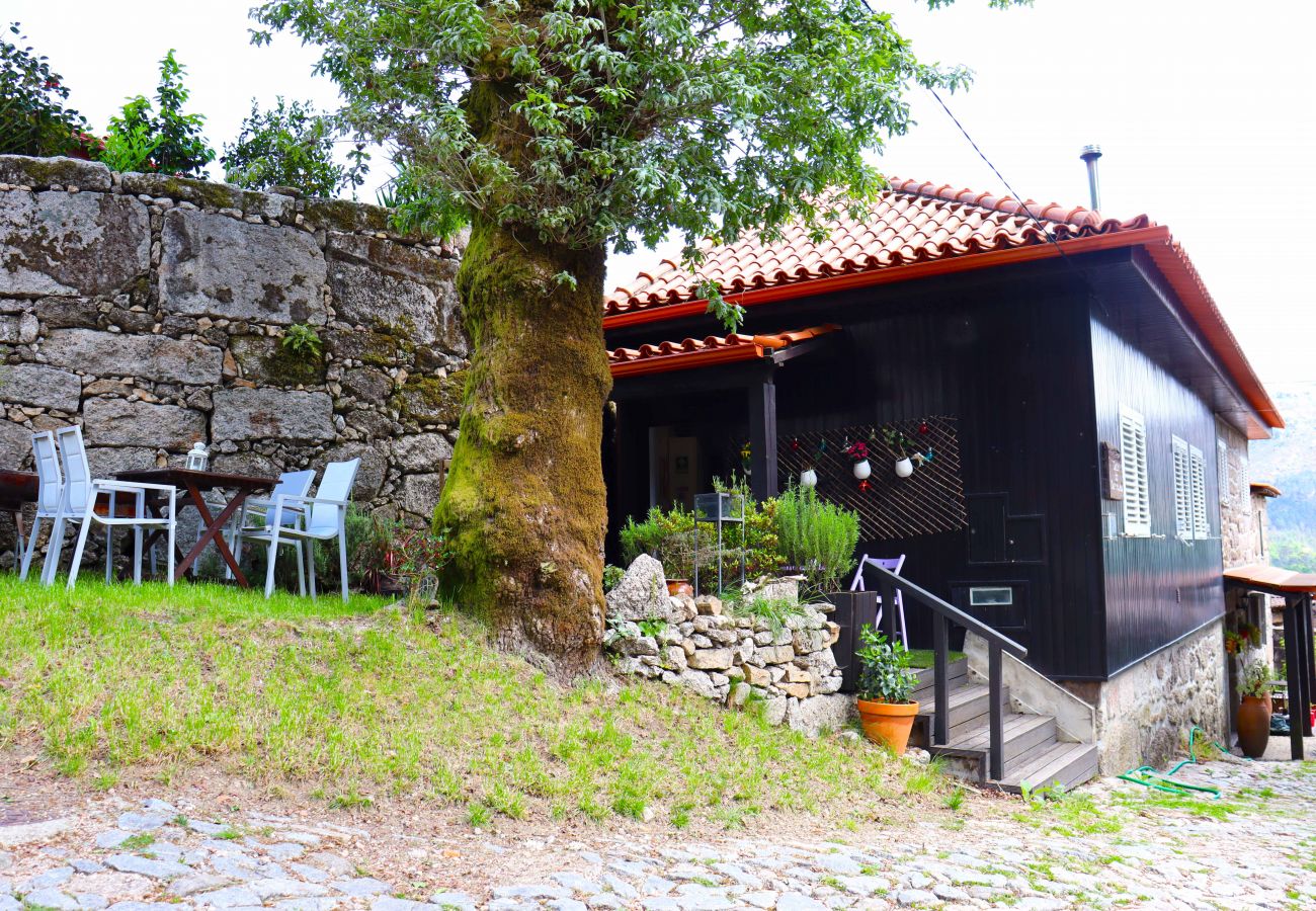 Jardin extérieur avec mobilier et barbecue