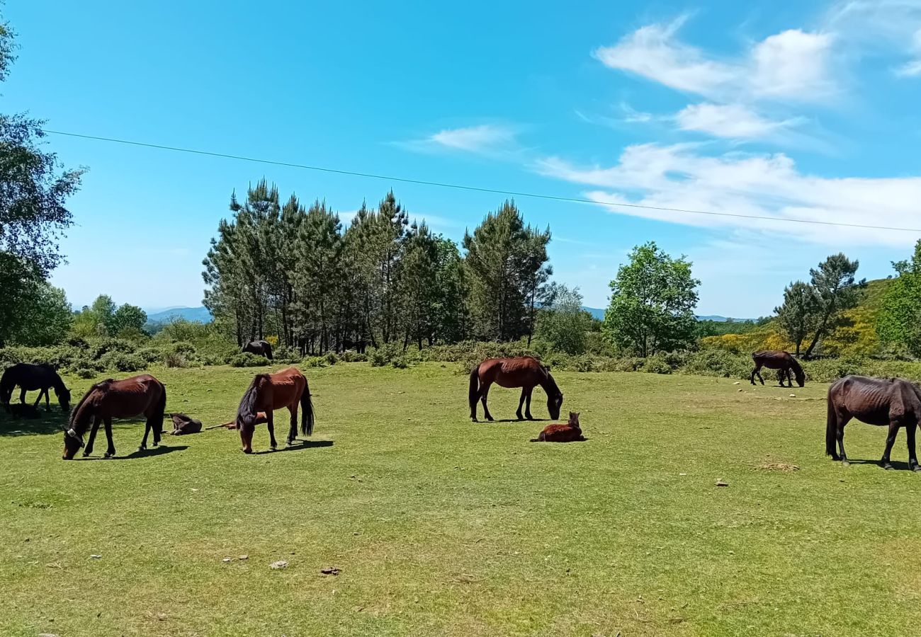 Gîte Rural à Soajo - Chalet do Soajo